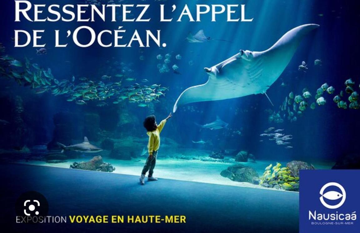 Le Gambetta Leilighet Boulogne-sur-Mer Eksteriør bilde